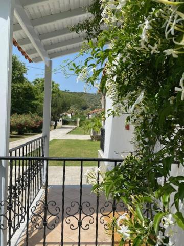 Calma Cottage مدينة سكياثوس المظهر الخارجي الصورة