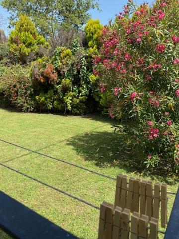 Calma Cottage مدينة سكياثوس المظهر الخارجي الصورة